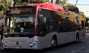 Lineas Especiales Autobuses GP Moto 2024