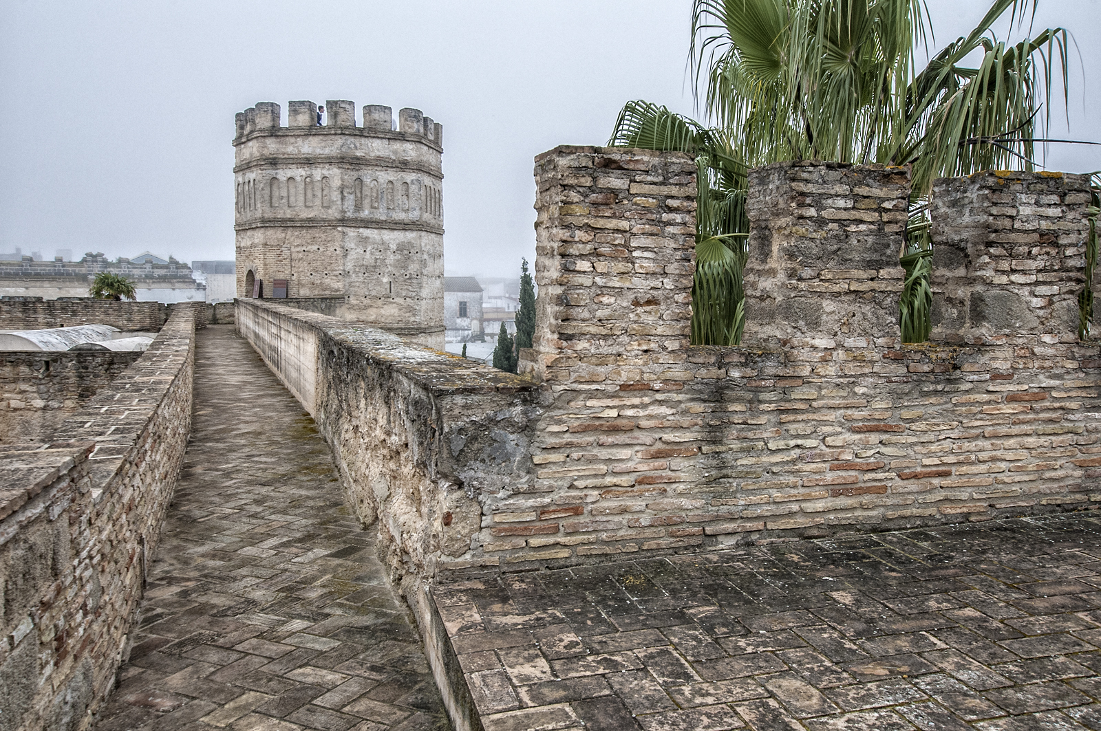 Paseo de Ronda de la Muralla y Torre Octogonal. Foto cedida por Juan Sánchez Ortega - Sortega Fotografía