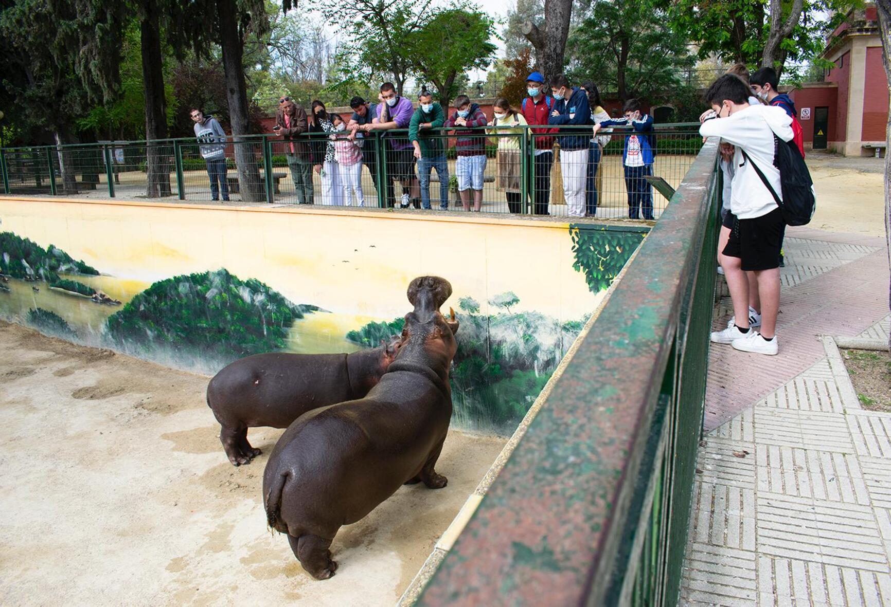Visitas al Zoo Semana Santa 2022