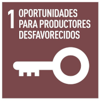 Principio nº 1 del Comercio Justo. Oportunidades para productores desfavorecidos