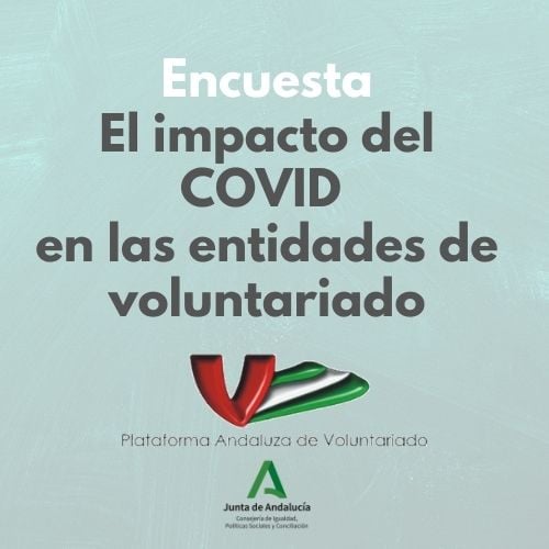 Cartel estudio EL IMPACTO DEL COVID-19 EN LAS ENTIDADES DE VOLUNTARIADO
